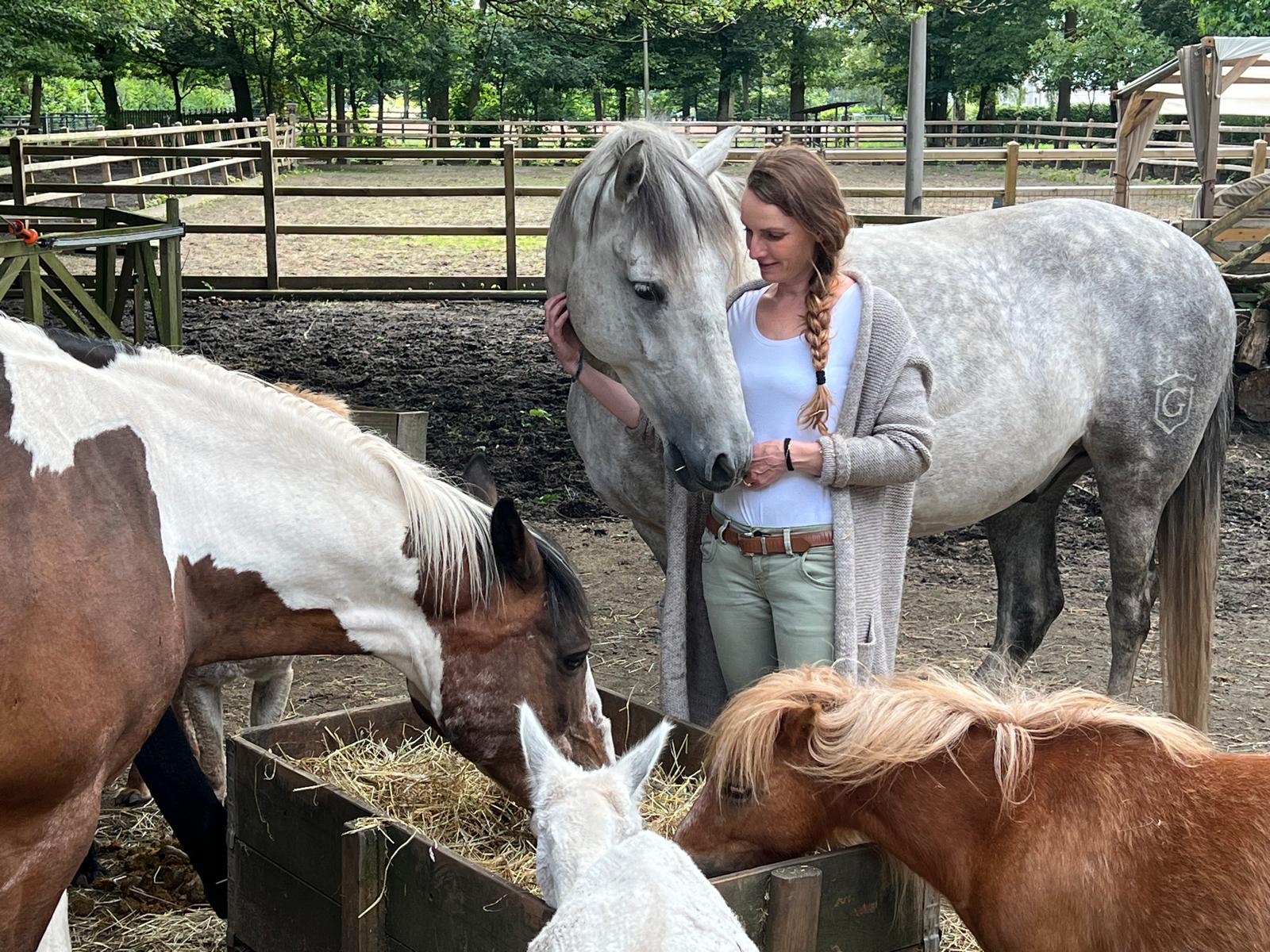 Bijlage 2 Foto voor naast de tekst bij kopje paardencoaching